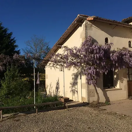 Wisteria & Jasmine Genouille (Vienne)